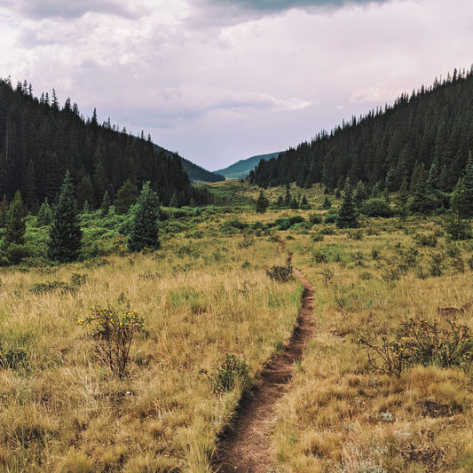 Section Hiking the Colorado Trail - Sections 3-5