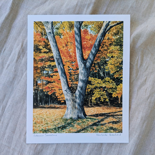 Autumn Sunshine | Fine Art Print - Kim Everhard Art