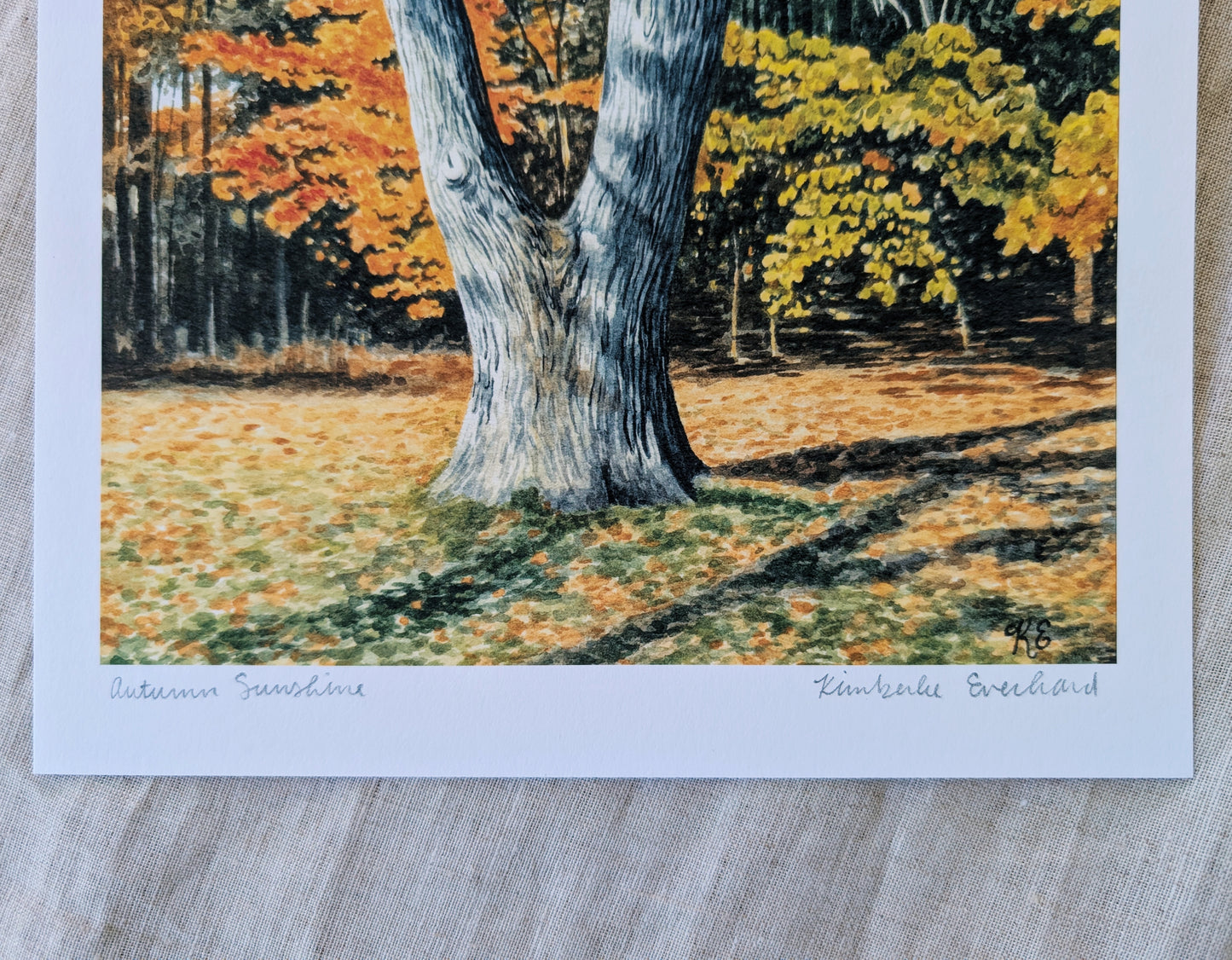 Autumn Sunshine | Fine Art Print - Kim Everhard Art