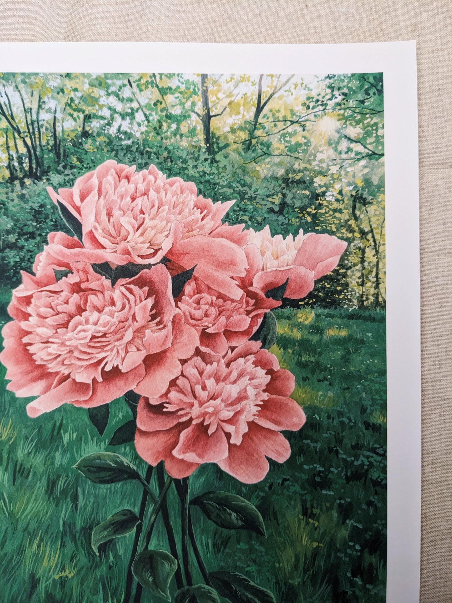 Homegrown Peonies | Fine Art Print - Kim Everhard Art