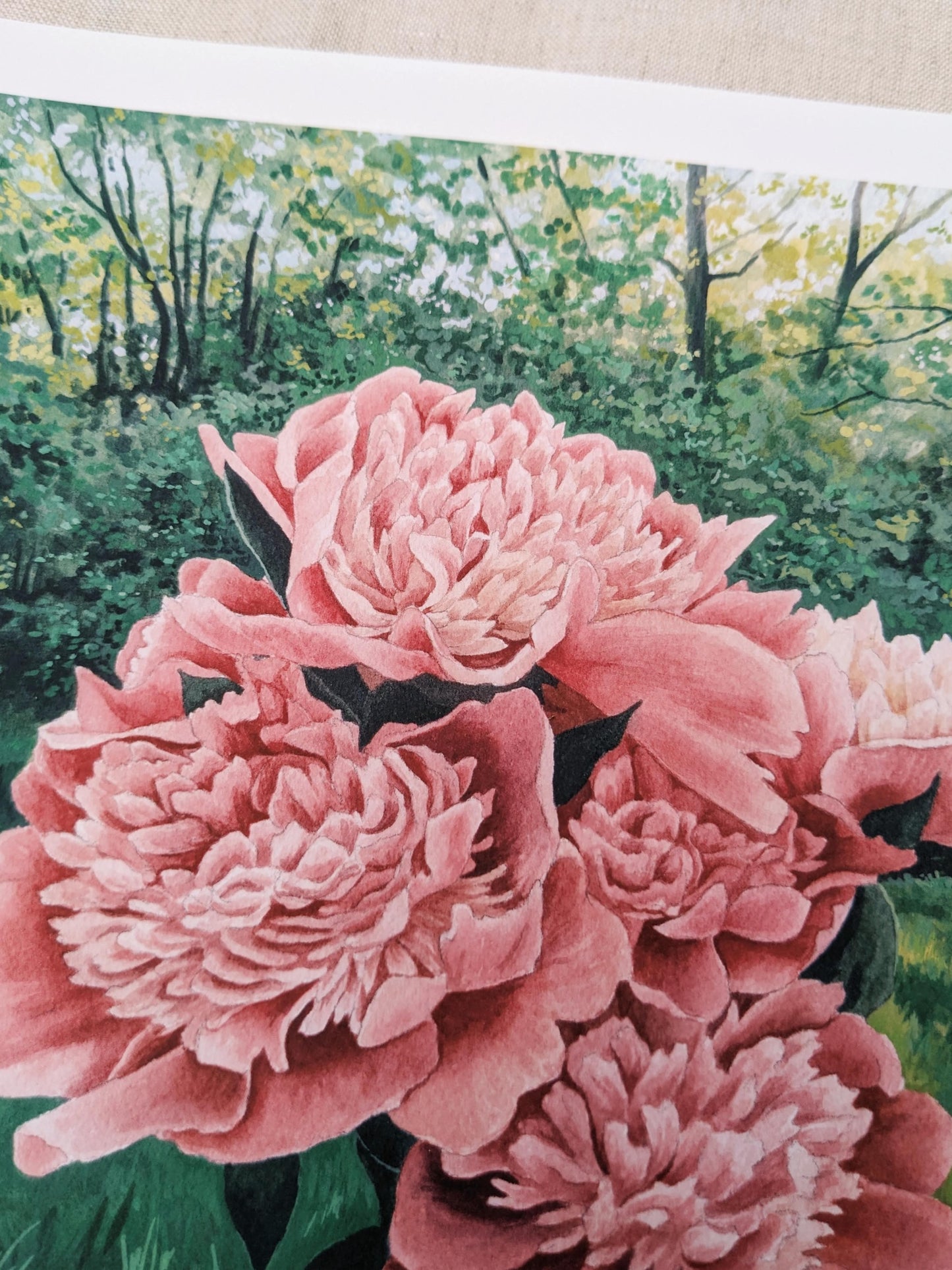 Homegrown Peonies | Fine Art Print - Kim Everhard Art