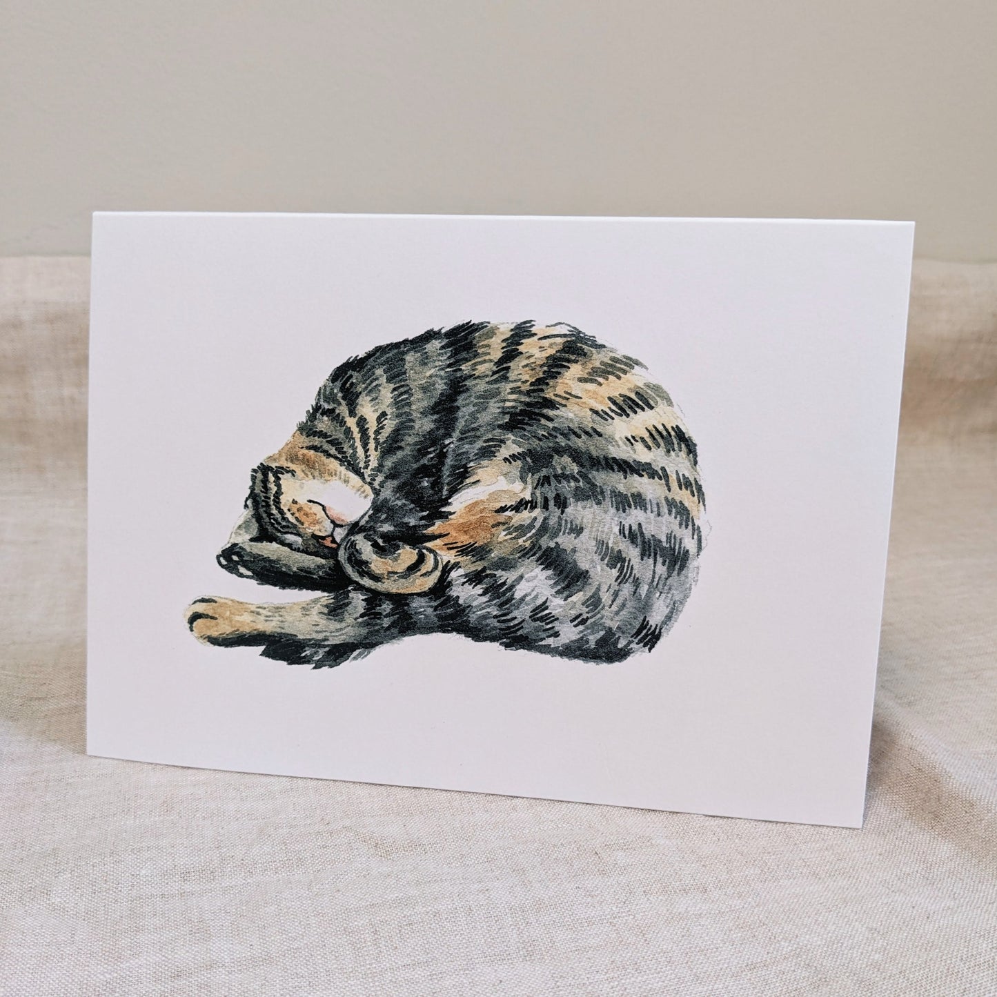 Sleeping Kitty - Greeting Cards - Kim Everhard Art