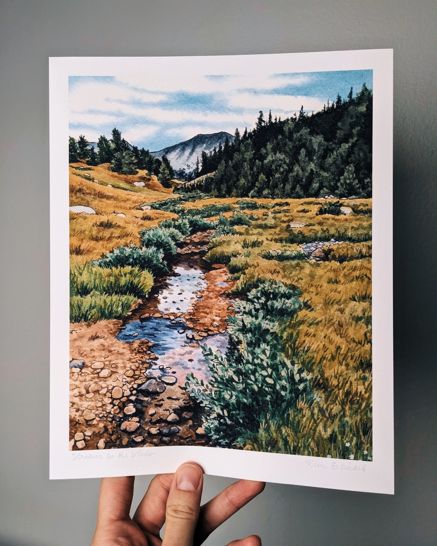 Stream In The Winds | Fine Art Print - Kim Everhard Art