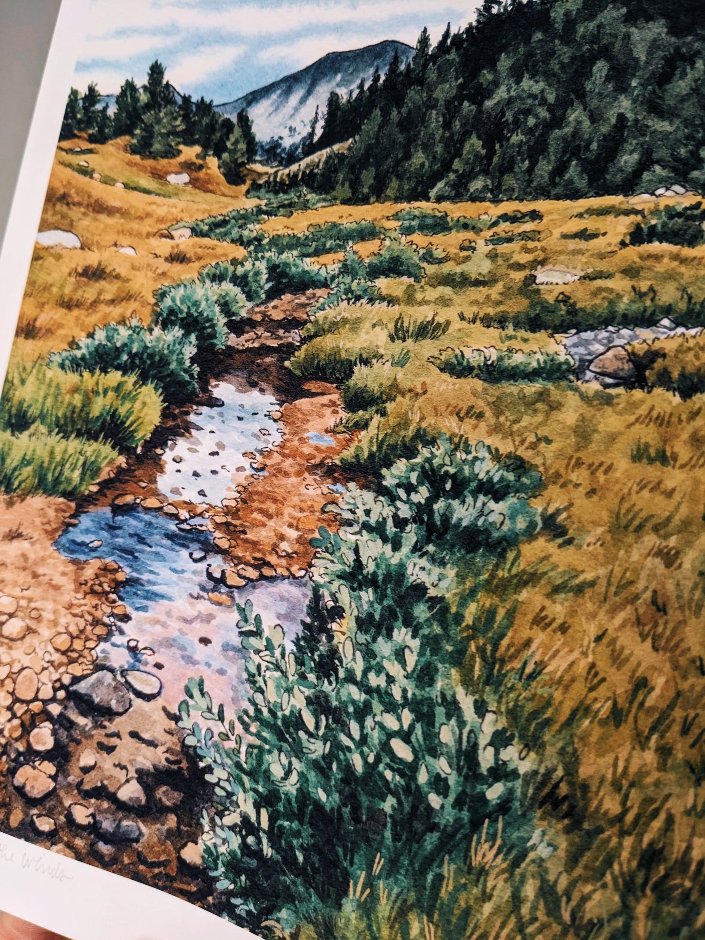 Stream In The Winds | Fine Art Print - Kim Everhard Art