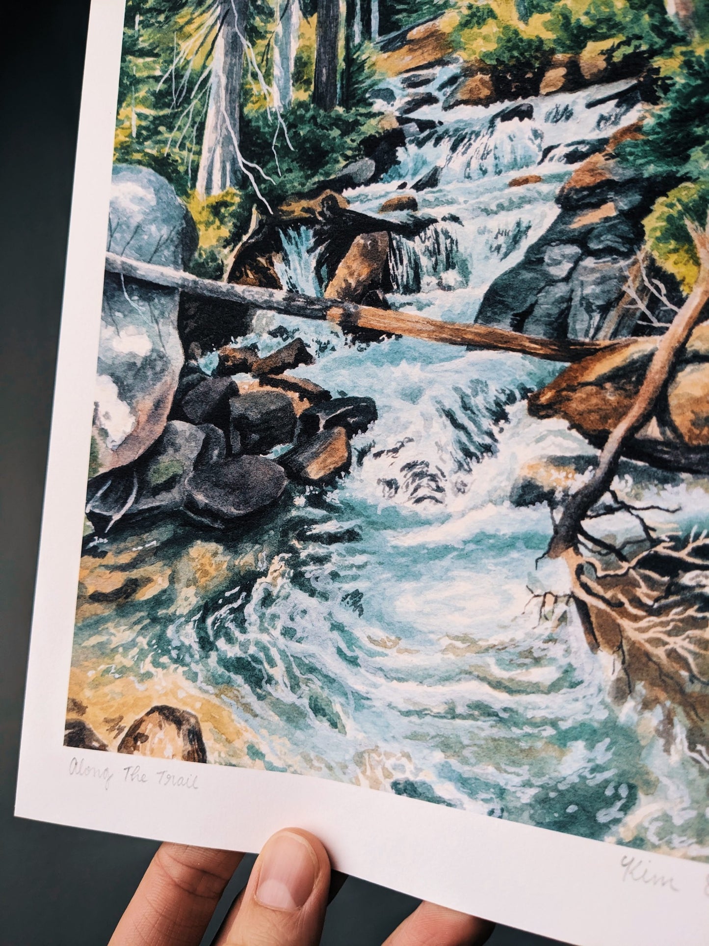 Along the Trail | Fine Art Print - Kim Everhard Art