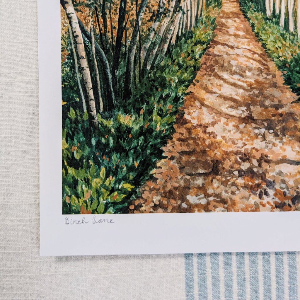 Autumn Birch Lane | Fine Art Print - Kim Everhard Art