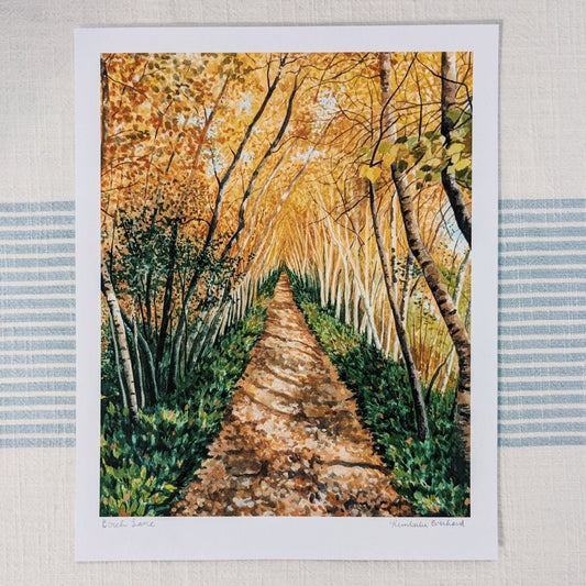 Autumn Birch Lane | Fine Art Print - Kim Everhard Art