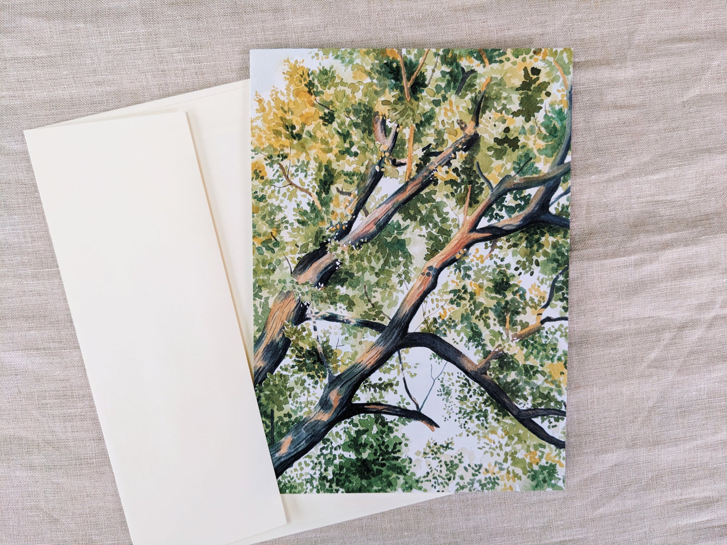 The Light Shines Through - Greeting Card - Kim Everhard Art