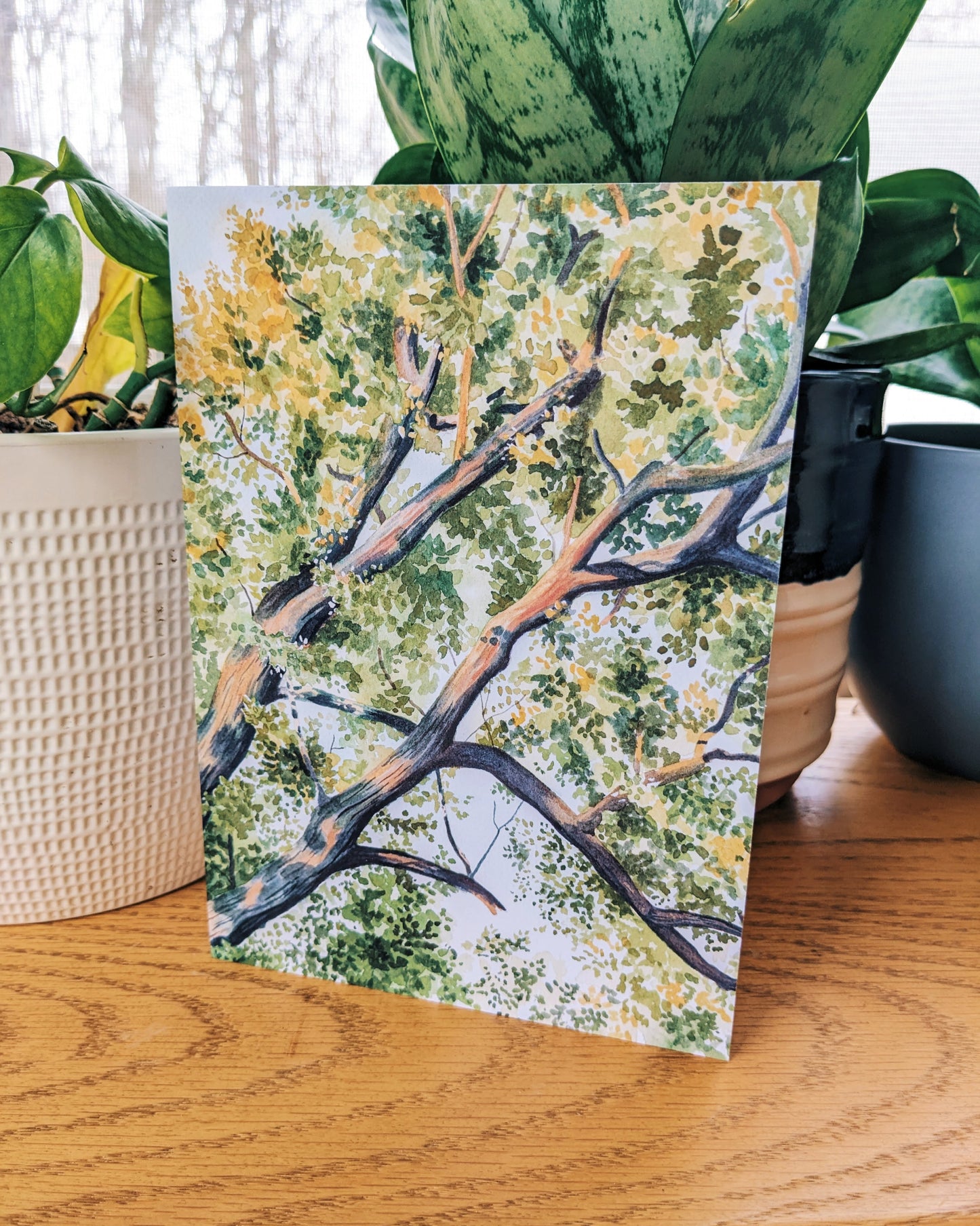 The Light Shines Through - Greeting Card - Kim Everhard Art