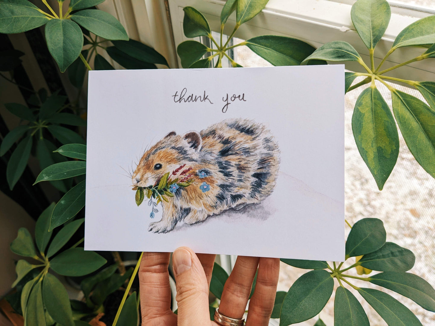 Pika - Thank You Card Set - Kim Everhard Art