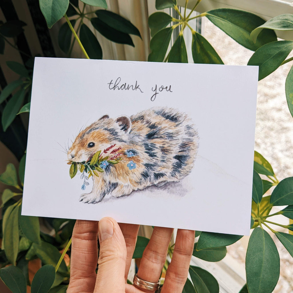 Pika - Thank You Card Set - Kim Everhard Art
