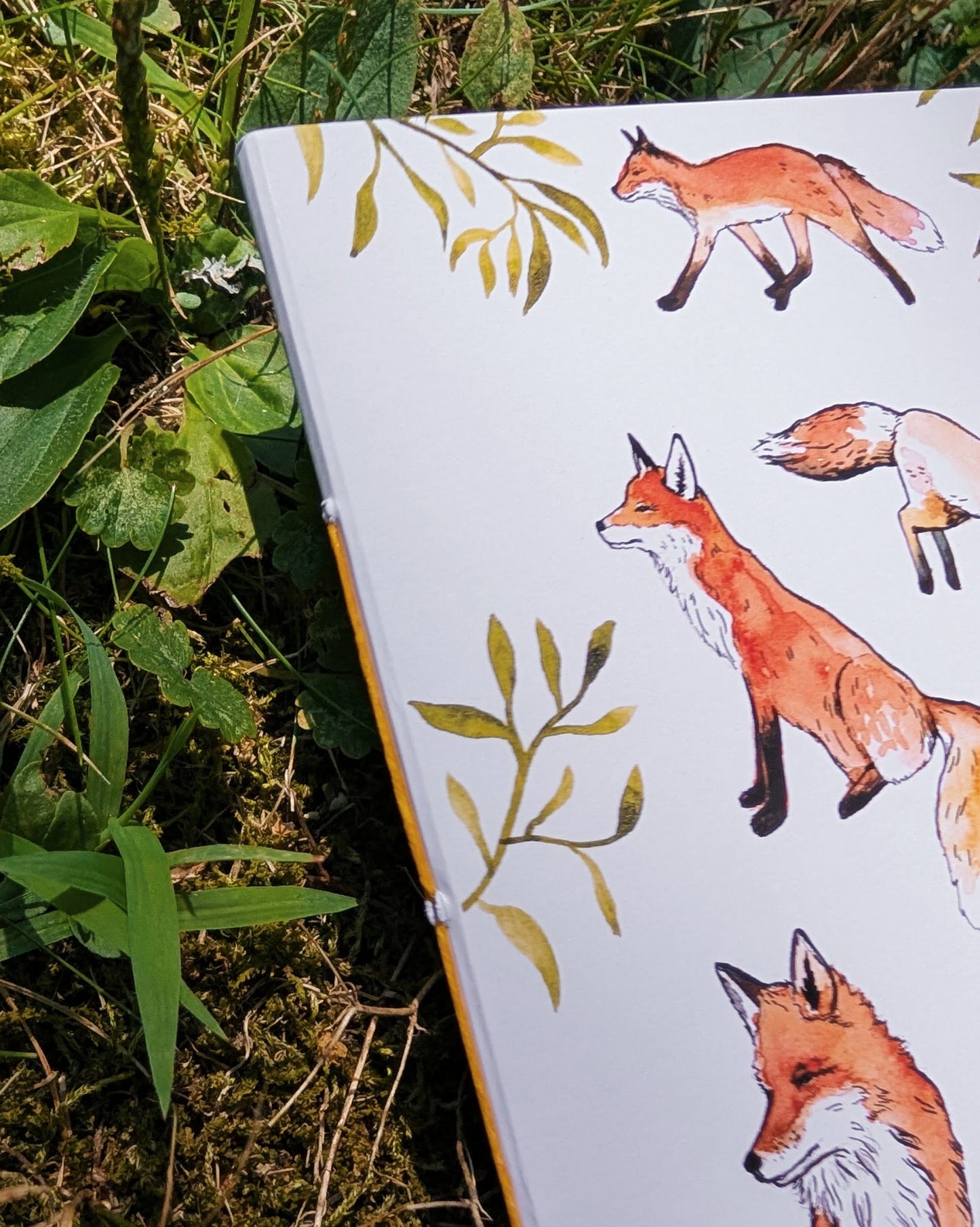 Notebook with fox illustrations on a grassy background
