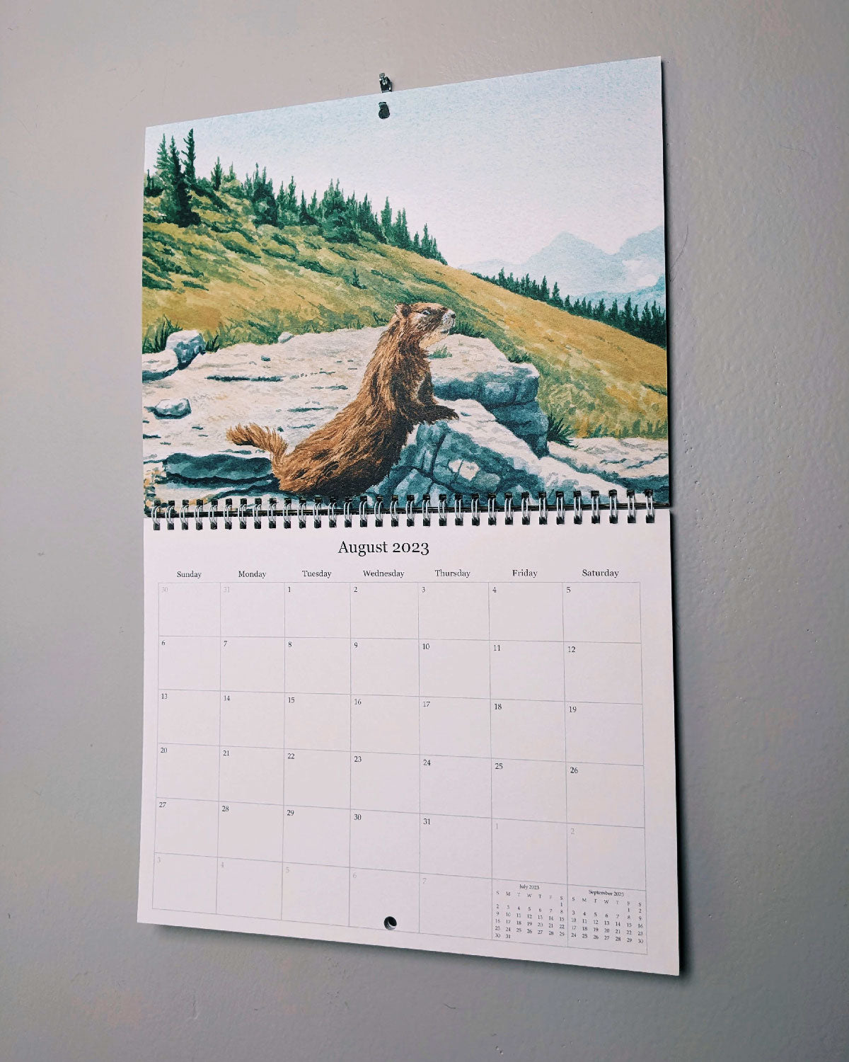 2024 Wall Calendar - Kim Everhard Art