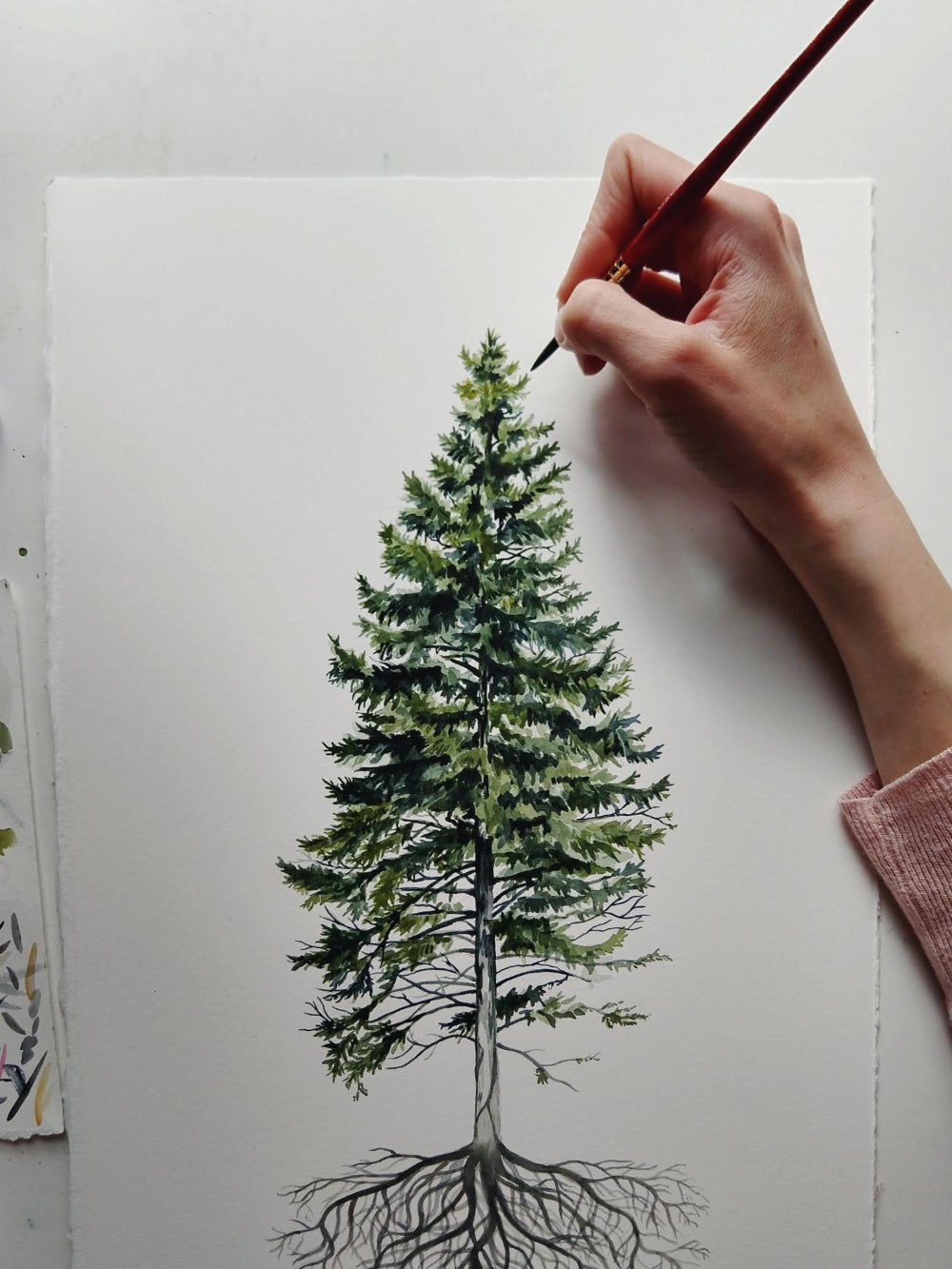 Rooted Pine - Original Painting - 12x18" - Kim Everhard Art