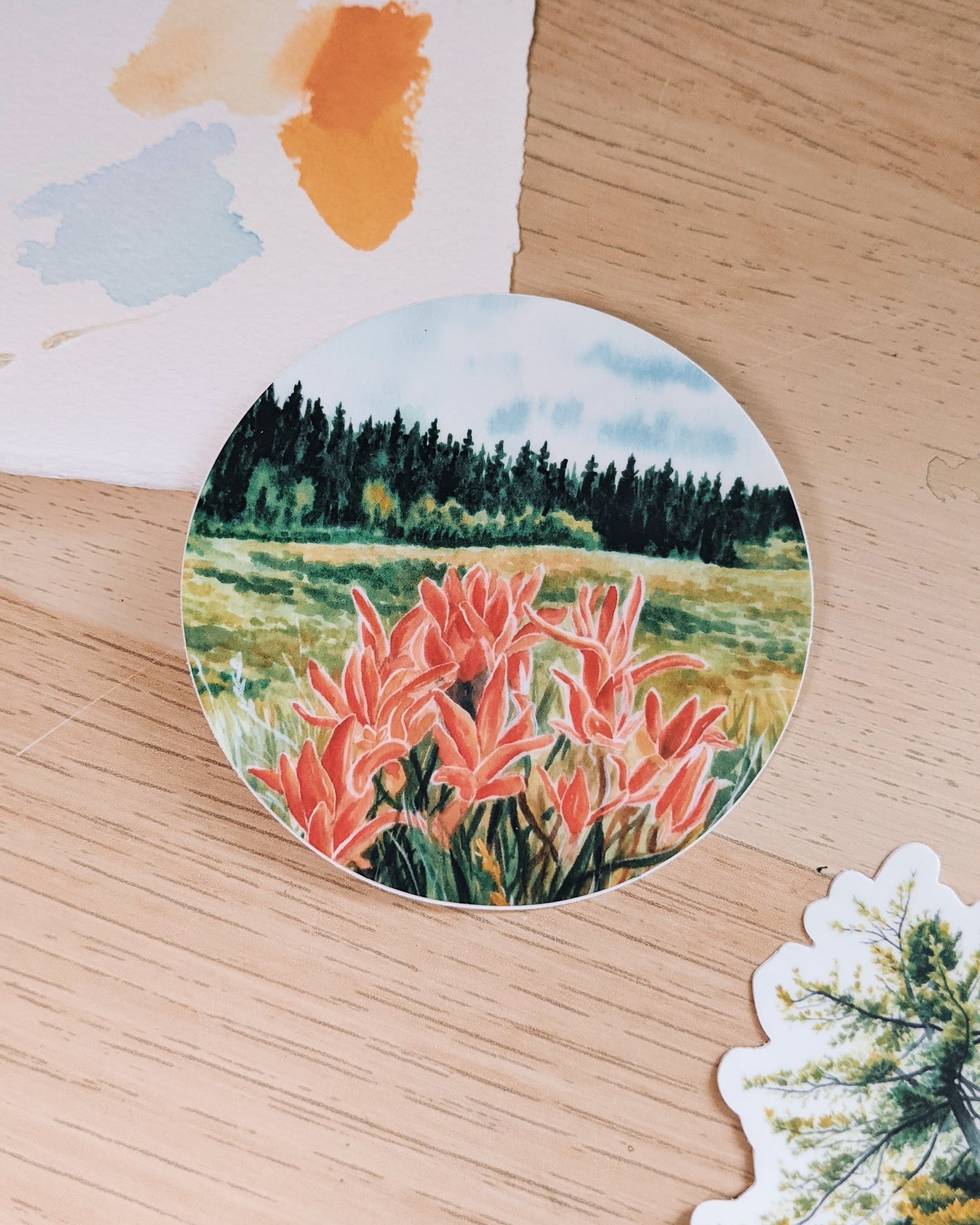 Colorado Wildflowers - vinyl sticker - Kim Everhard Art