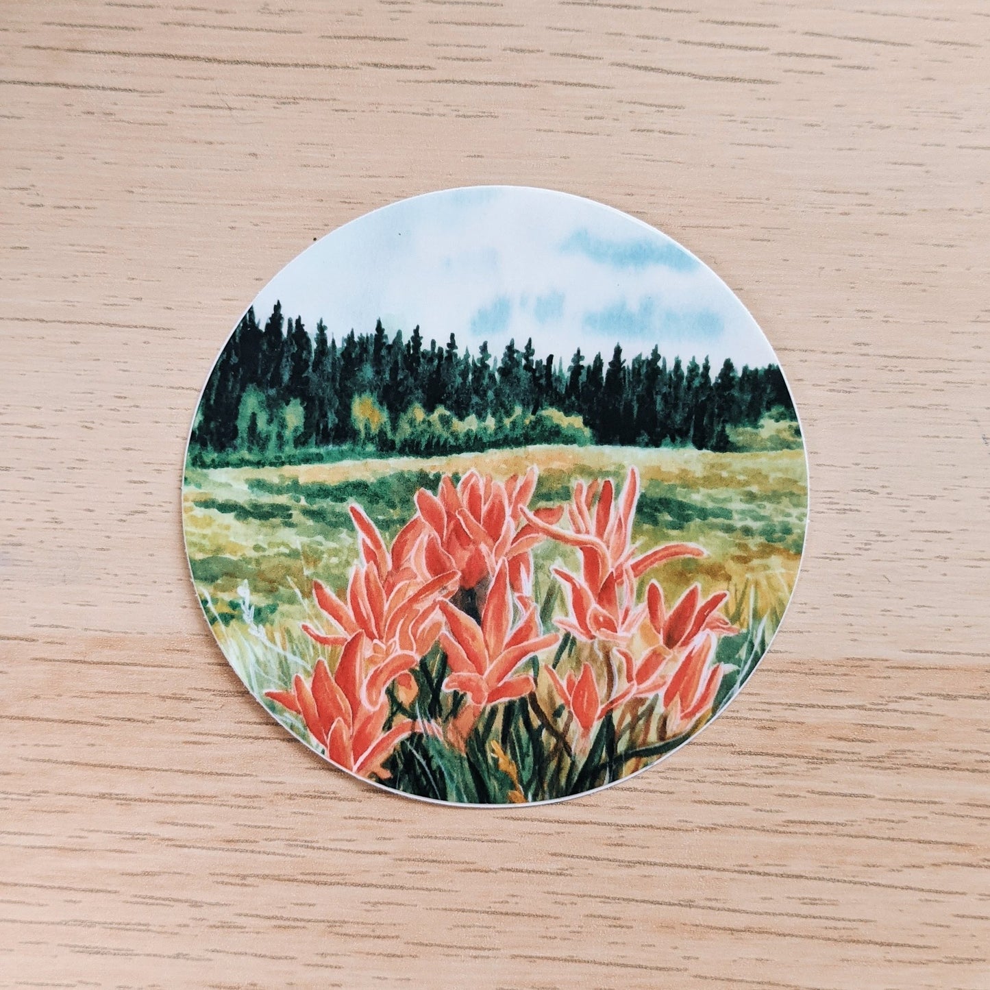 Colorado Wildflowers - vinyl sticker - Kim Everhard Art