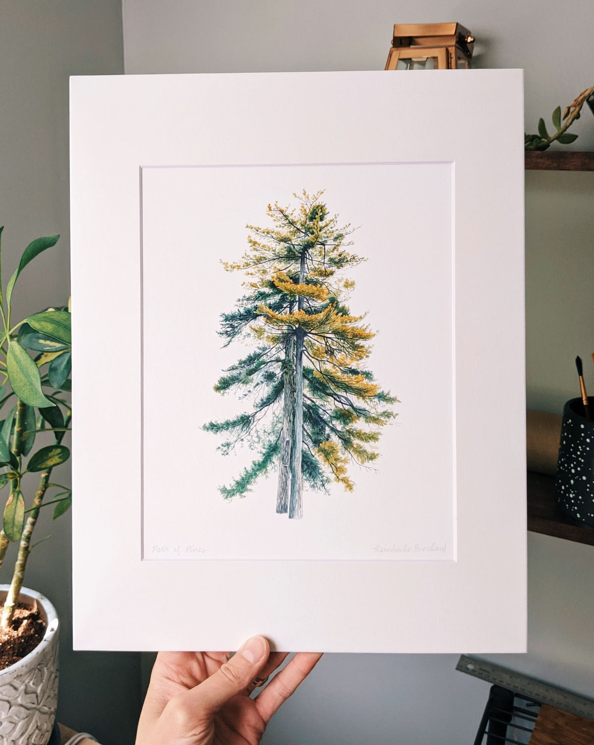 Pair of Pines - Fine Art Print - Kim Everhard Art