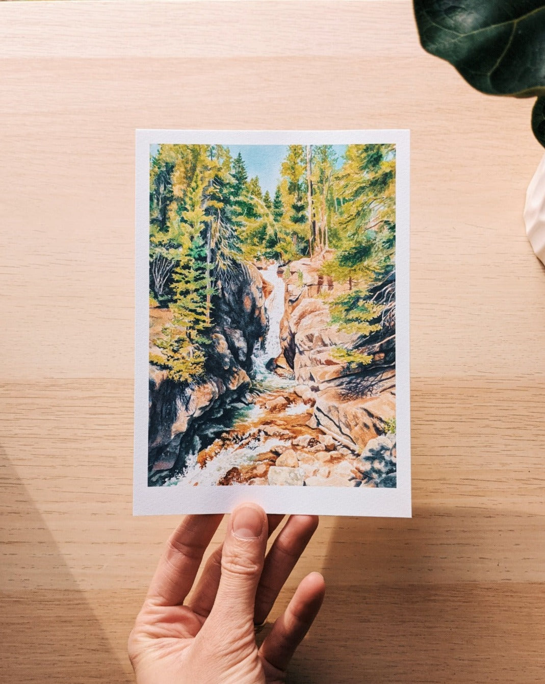 Chasm Falls | Tall - Fine Art Print - Kim Everhard Art