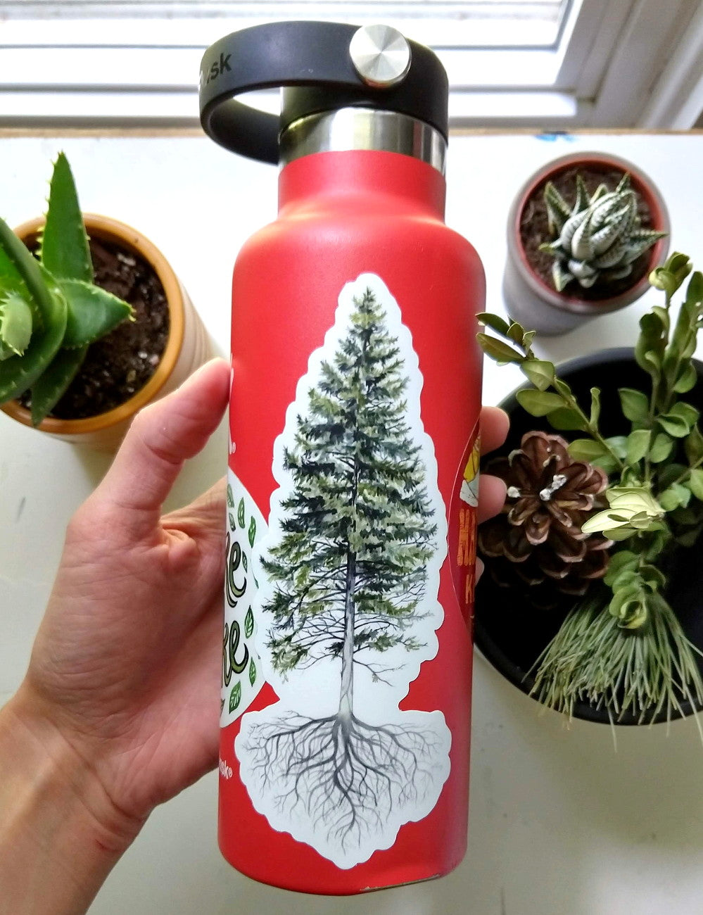 Pine Tree - Vinyl Sticker - Kim Everhard Art