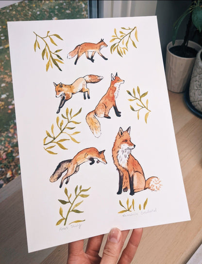 Fox Study - Fine Art Print - Kim Everhard Art