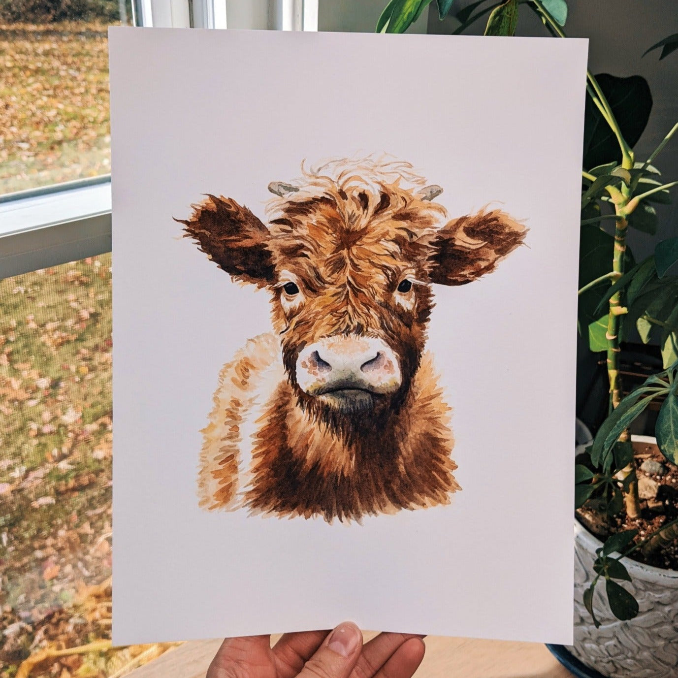 Highland Cow - Fine Art Print - Kim Everhard Art