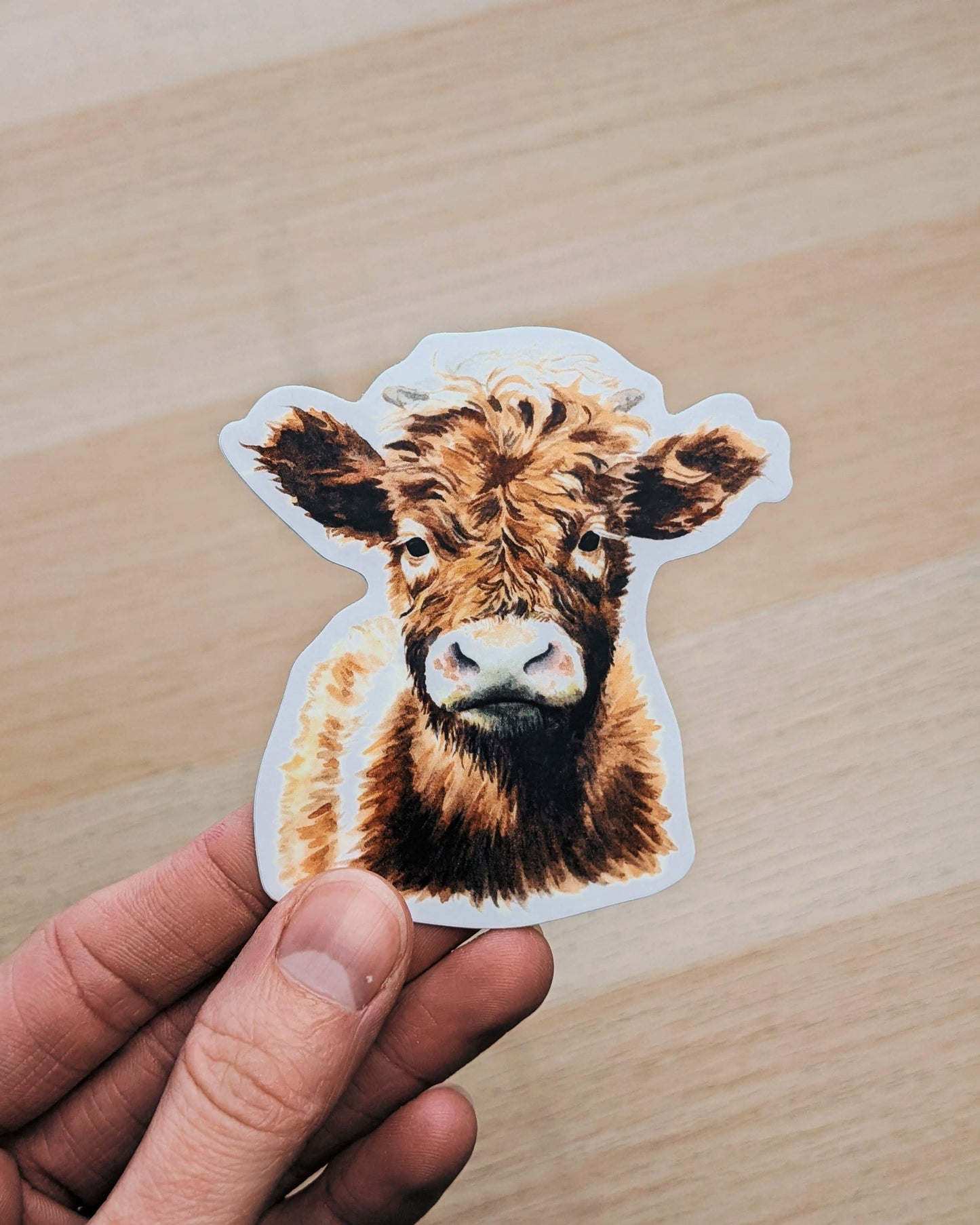 Cow - Vinyl Sticker - Kim Everhard Art