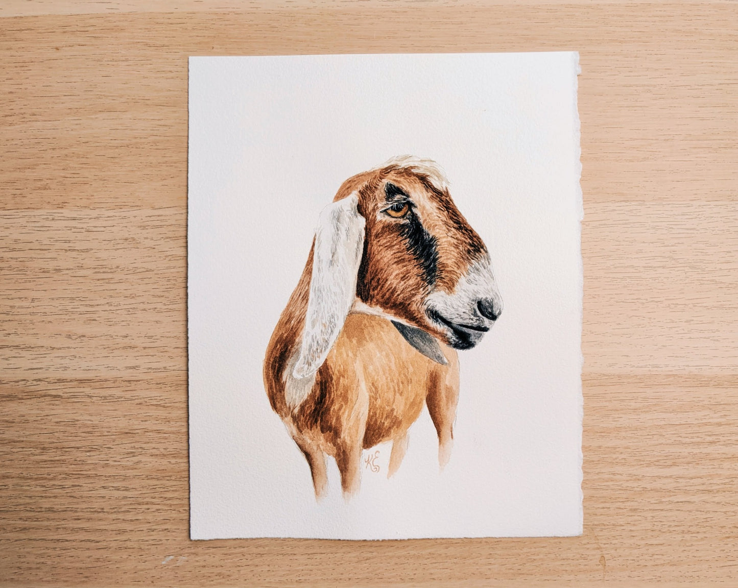 Goat - Original Watercolor - Kim Everhard Art