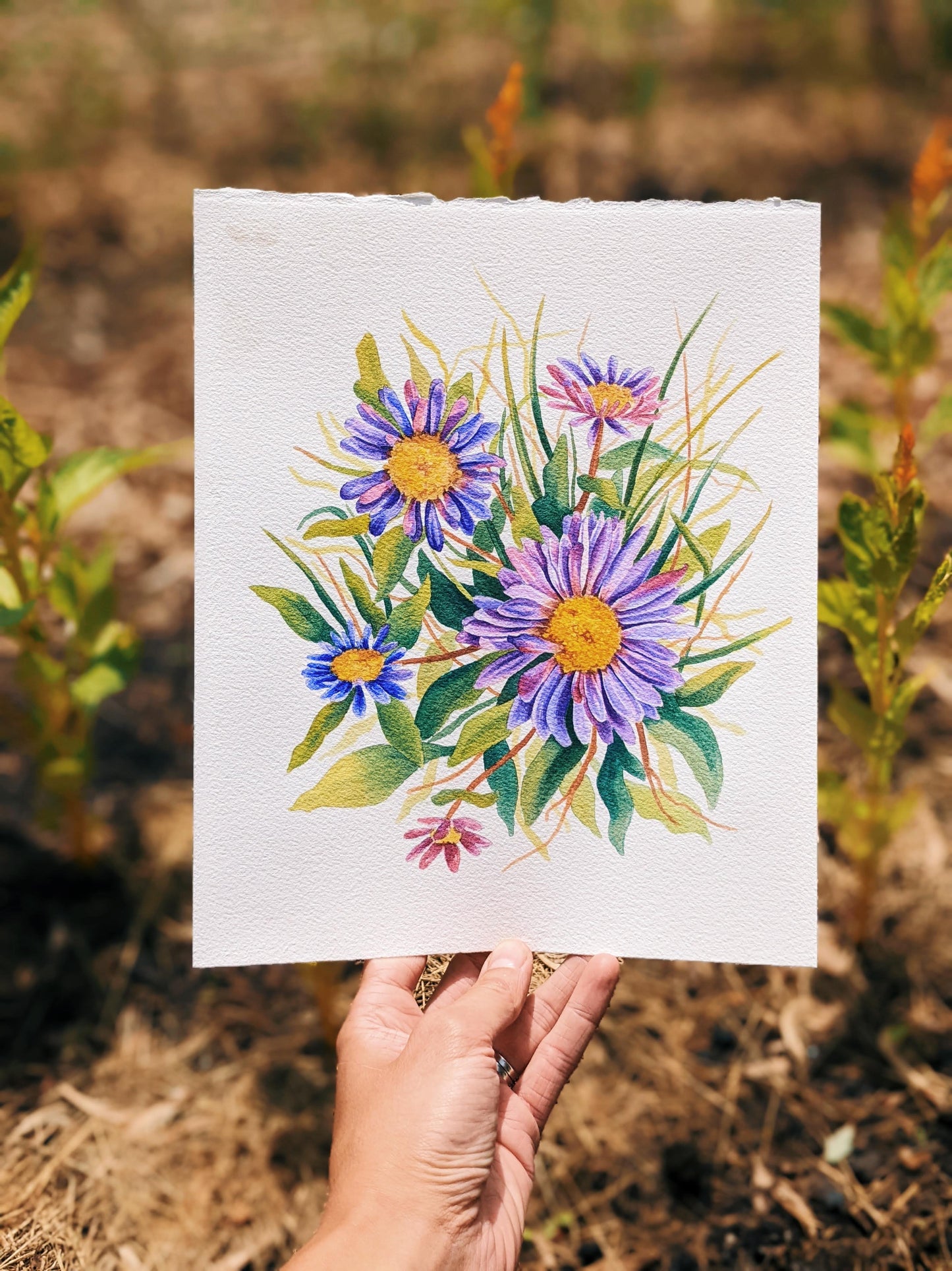 Alpine Daisies - Original Painting - Kim Everhard Art