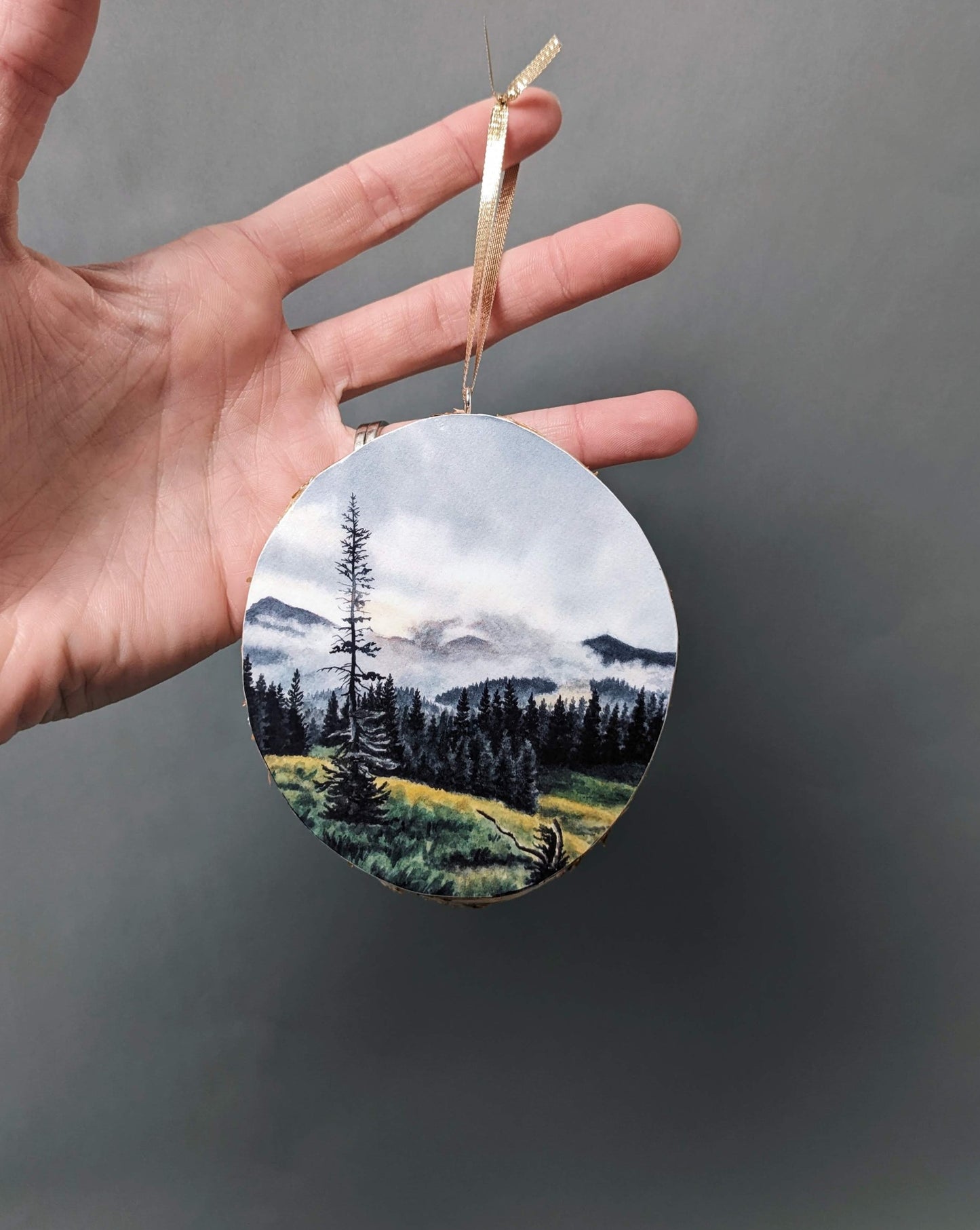 Granite Canyon - Ornament - Kim Everhard Art