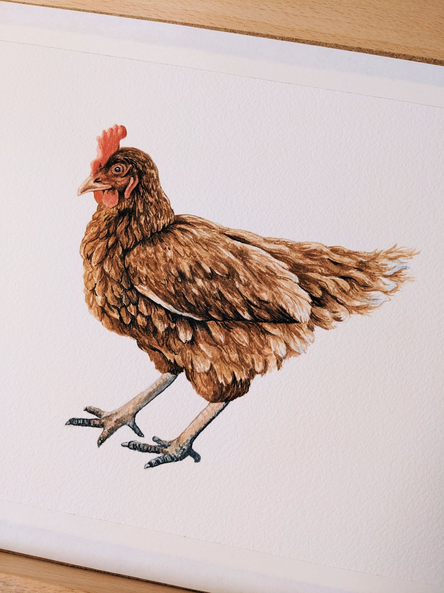 Brown Chicken - Original Watercolor - Kim Everhard Art