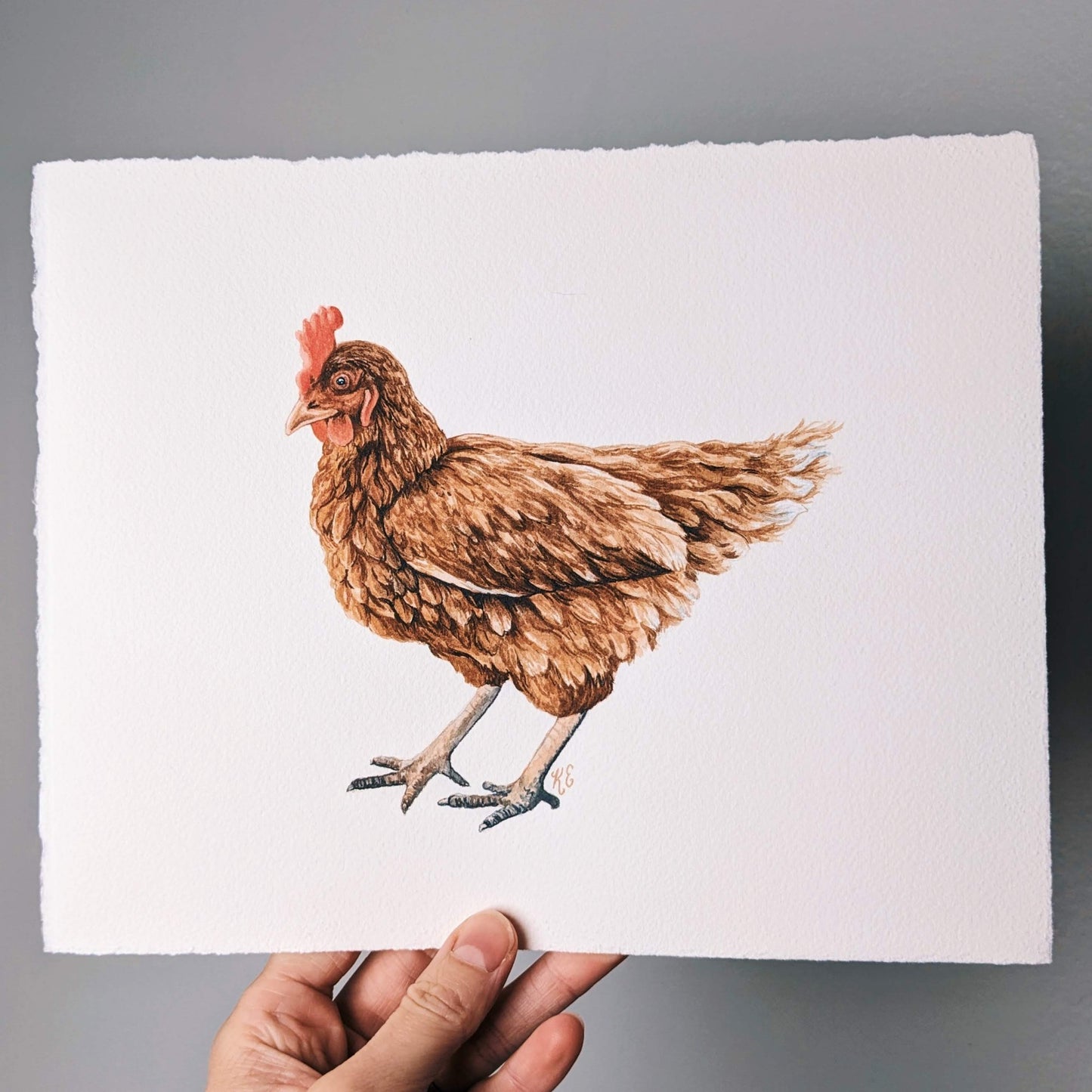 Brown Chicken - Original Watercolor - Kim Everhard Art