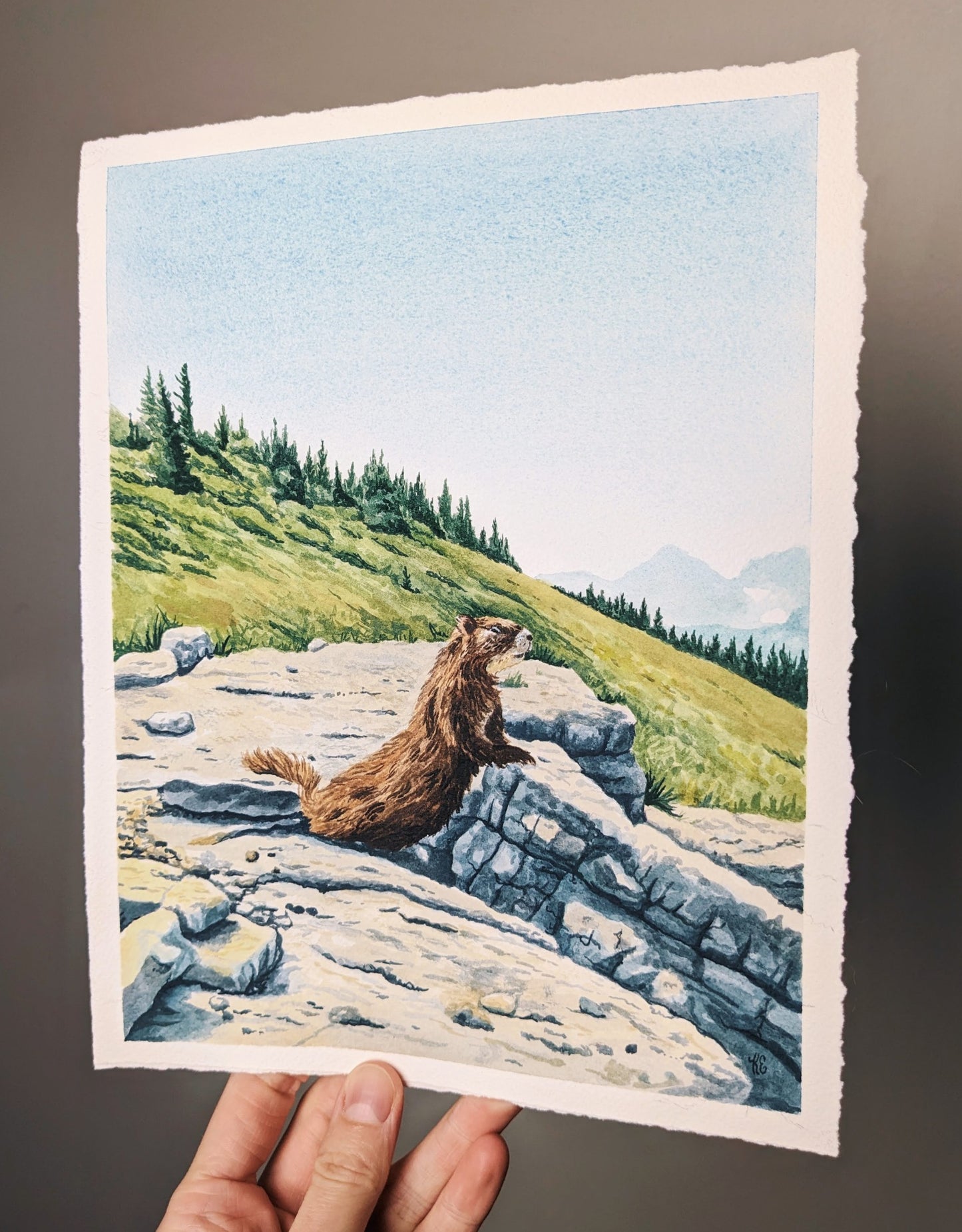 Marmot in the Tetons - Original Watercolor - Kim Everhard Art