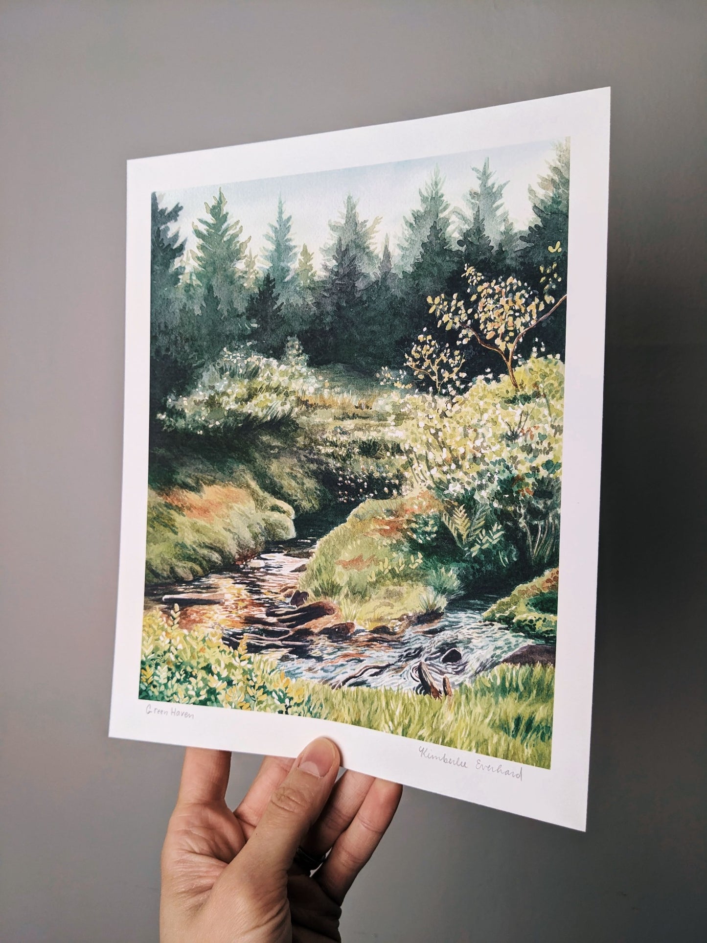 Green Haven | Dolly Sods - Art Print - Kim Everhard Art