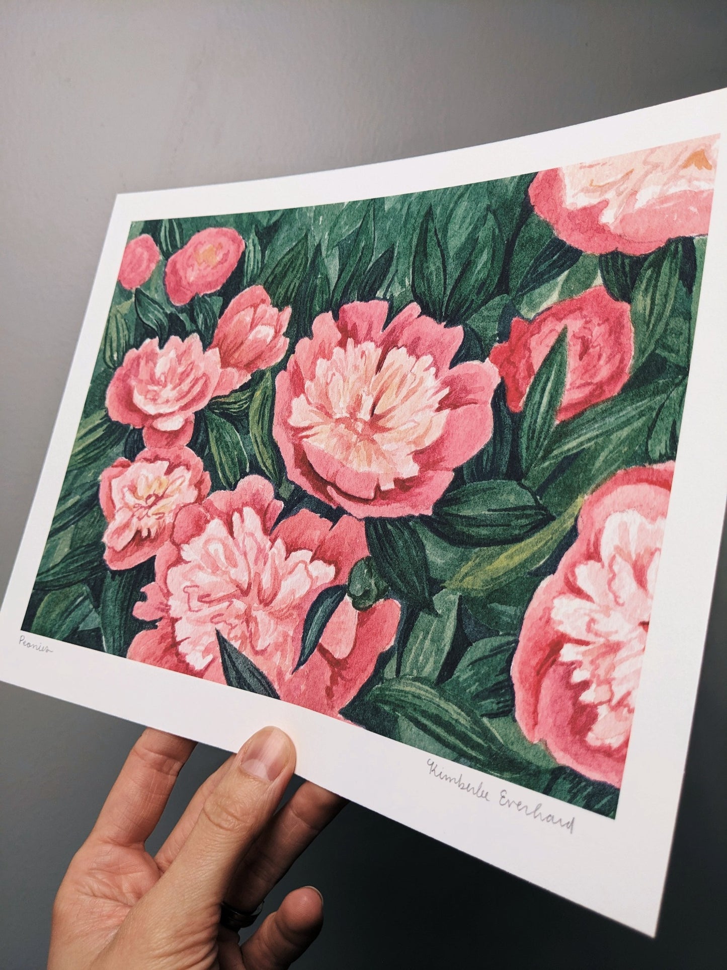 Peonies - Fine Art Print - Kim Everhard Art