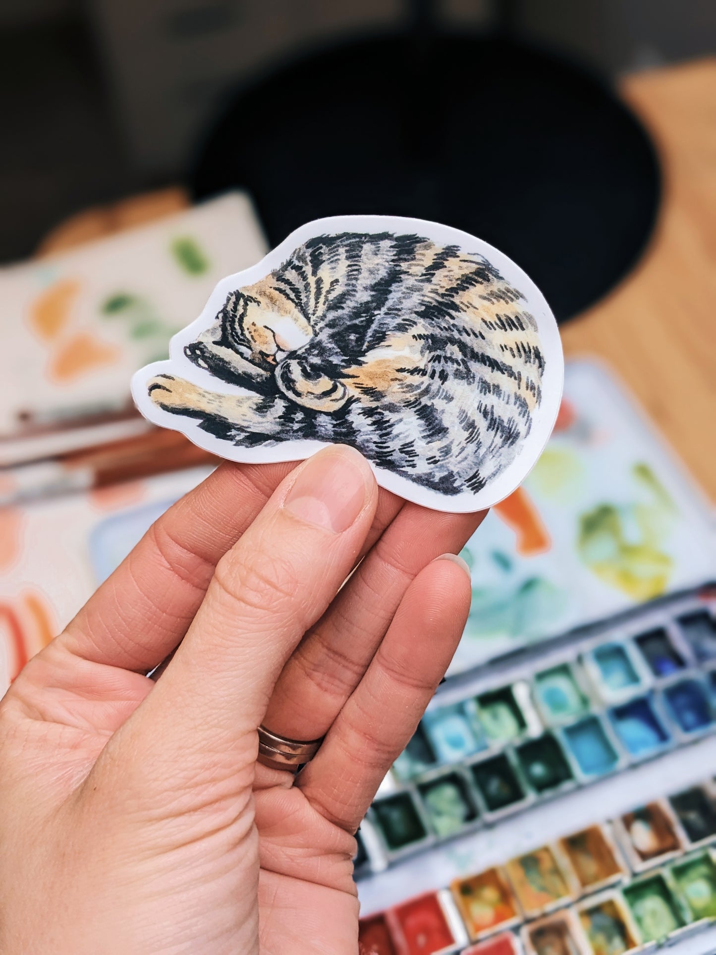 Sleeping Cat - Vinyl Sticker - Kim Everhard Art