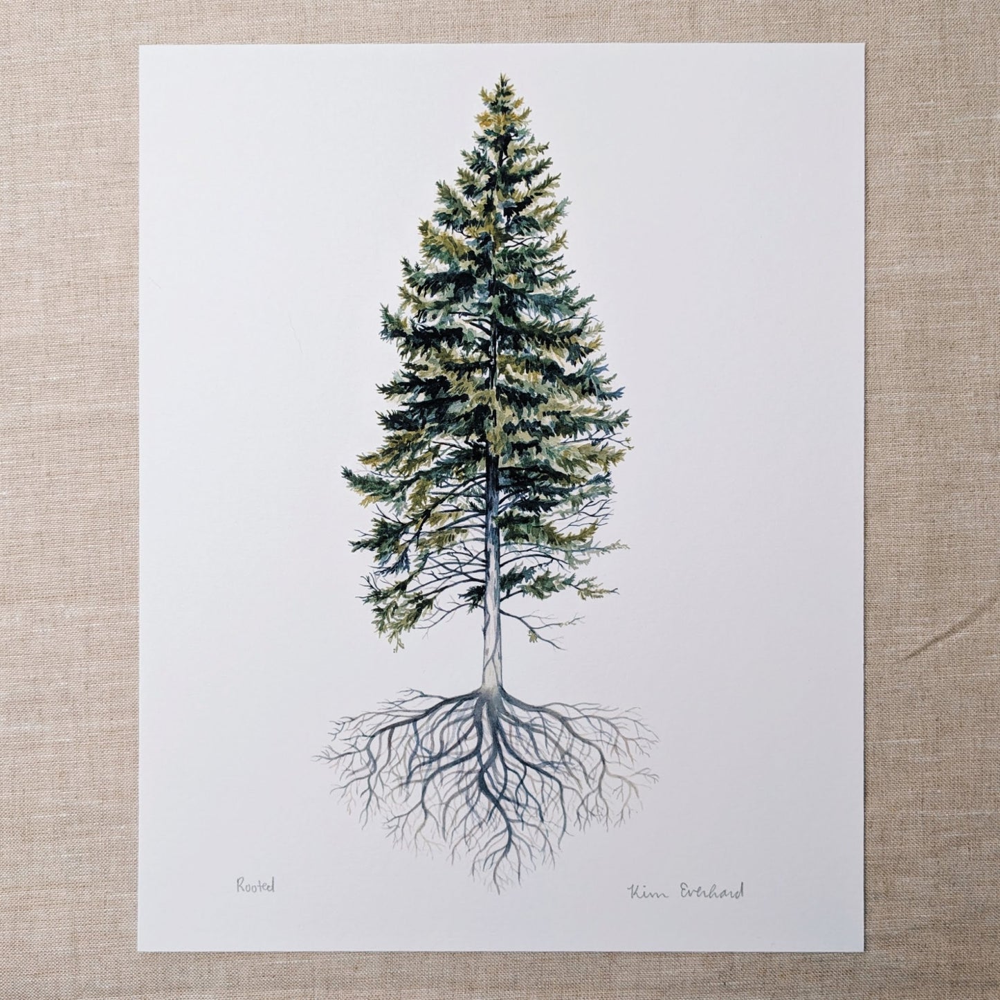 Rooted Pine Tree - Art Print - Kim Everhard Art