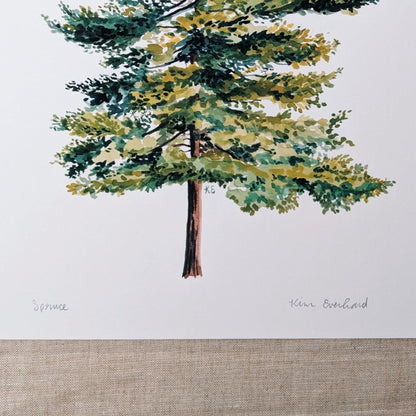 Spruce Tree - Art Print 8 x 10 - Kim Everhard Art