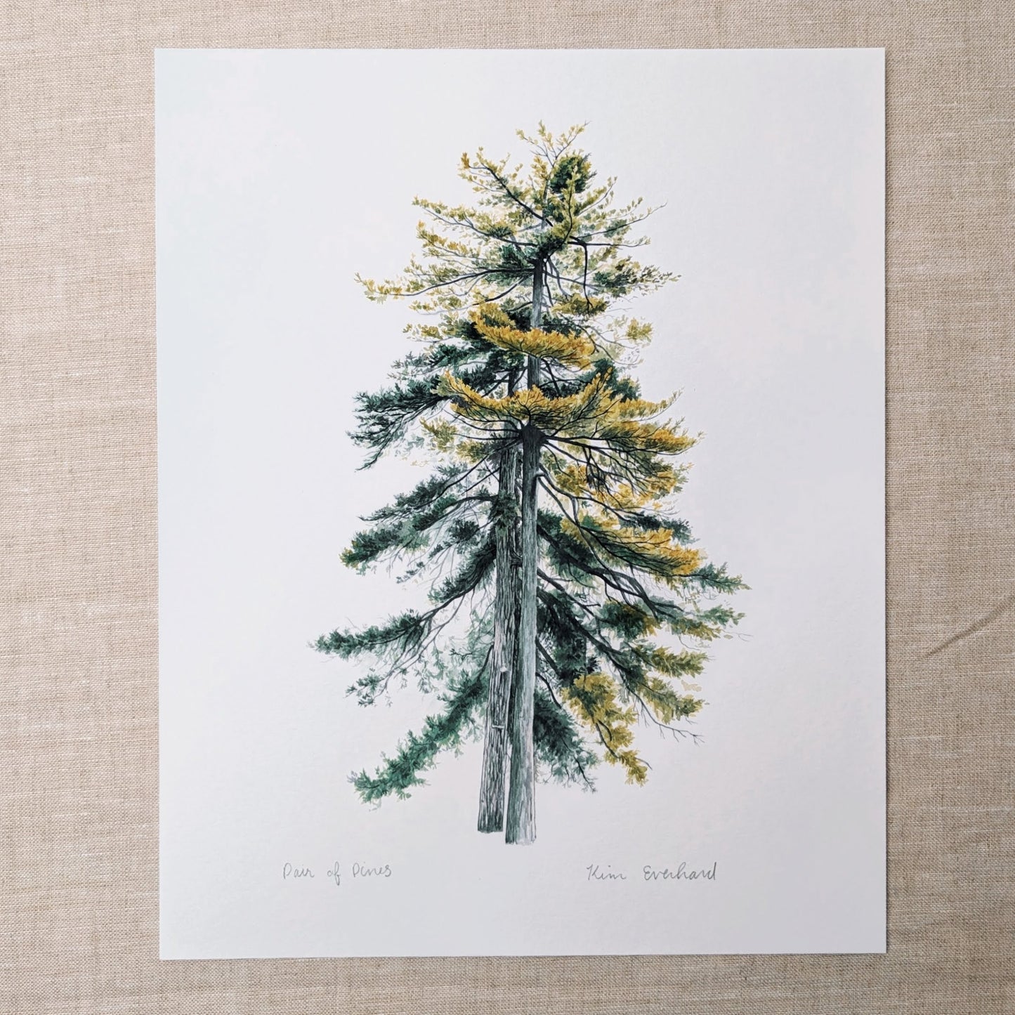 Pair of Pines - Fine Art Print - Kim Everhard Art