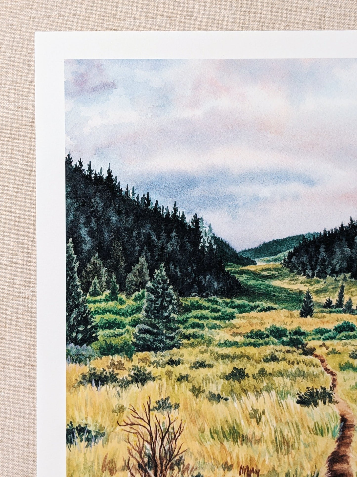 The Colorado Trail - Fine Art Print - Kim Everhard Art