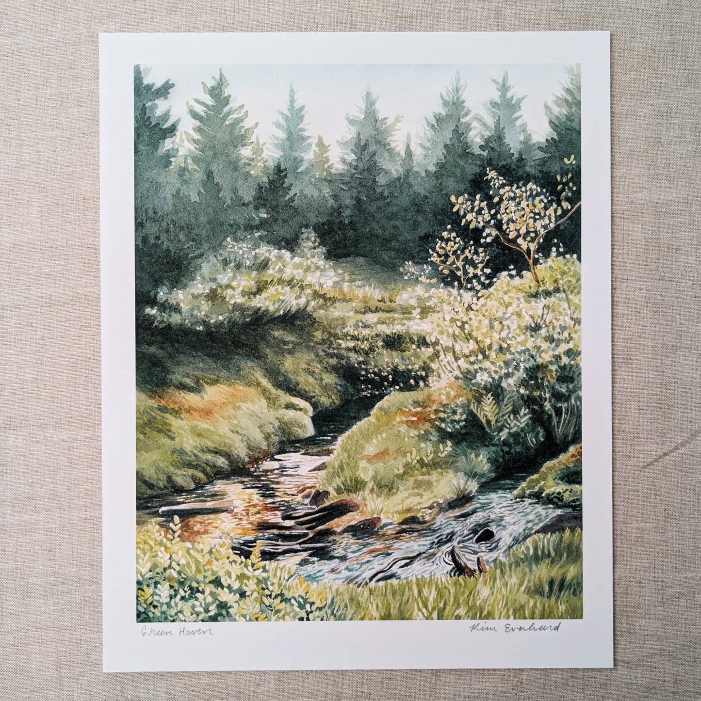 Green Haven | Dolly Sods - Art Print - Kim Everhard Art