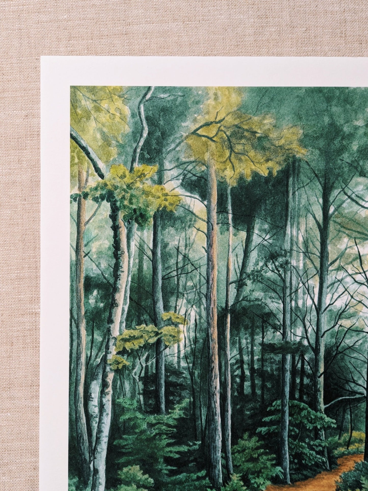 Pictured Rocks Path- Fine Art Print - Kim Everhard Art