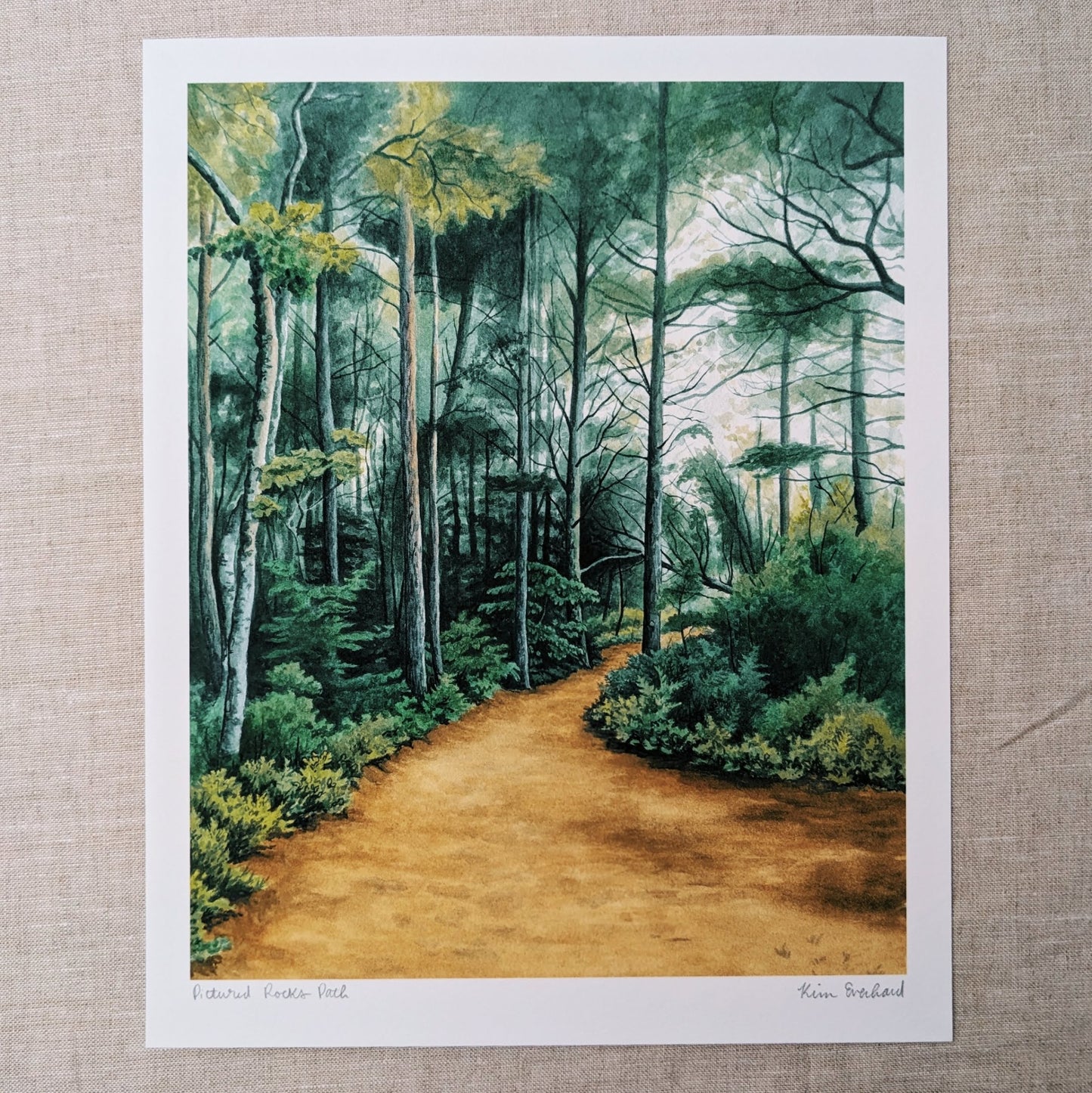 foggy path in the woods