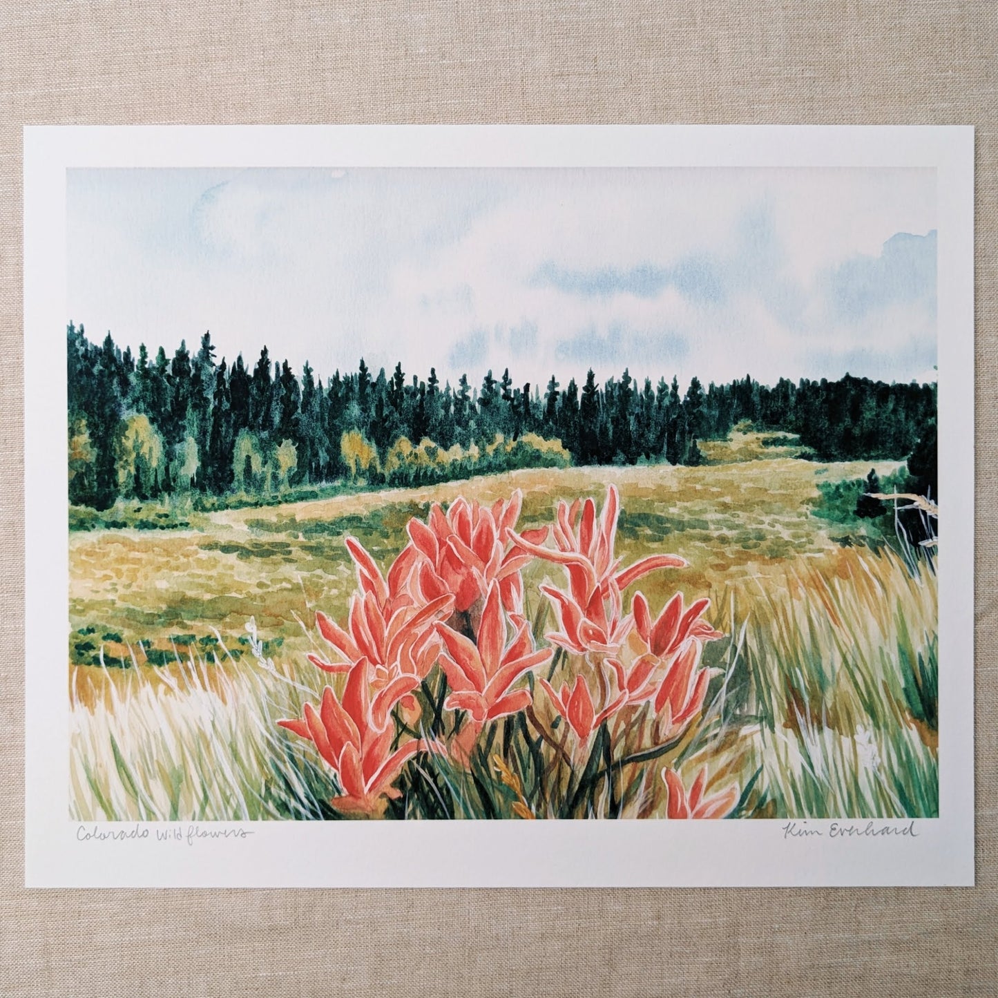 Colorado Wildflowers - Fine Art Print - Kim Everhard Art