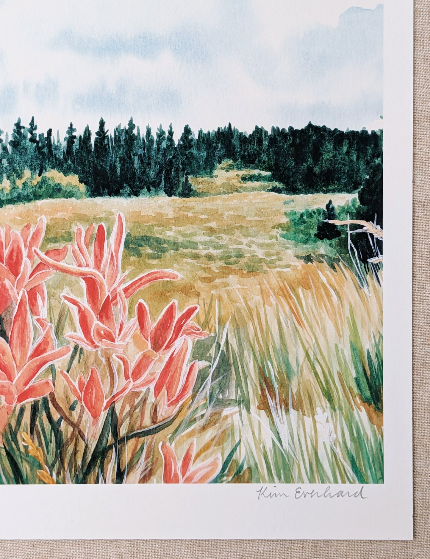Colorado Wildflowers - Fine Art Print - Kim Everhard Art