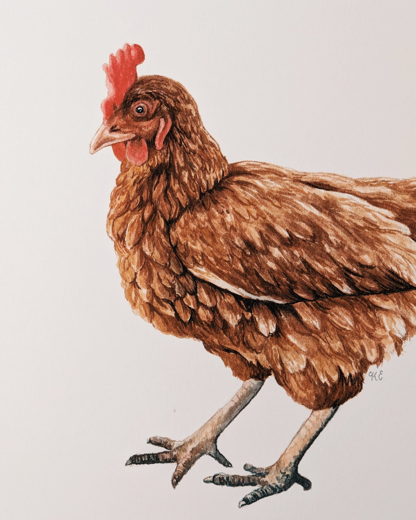 Chicken - Fine Art Print - Kim Everhard Art