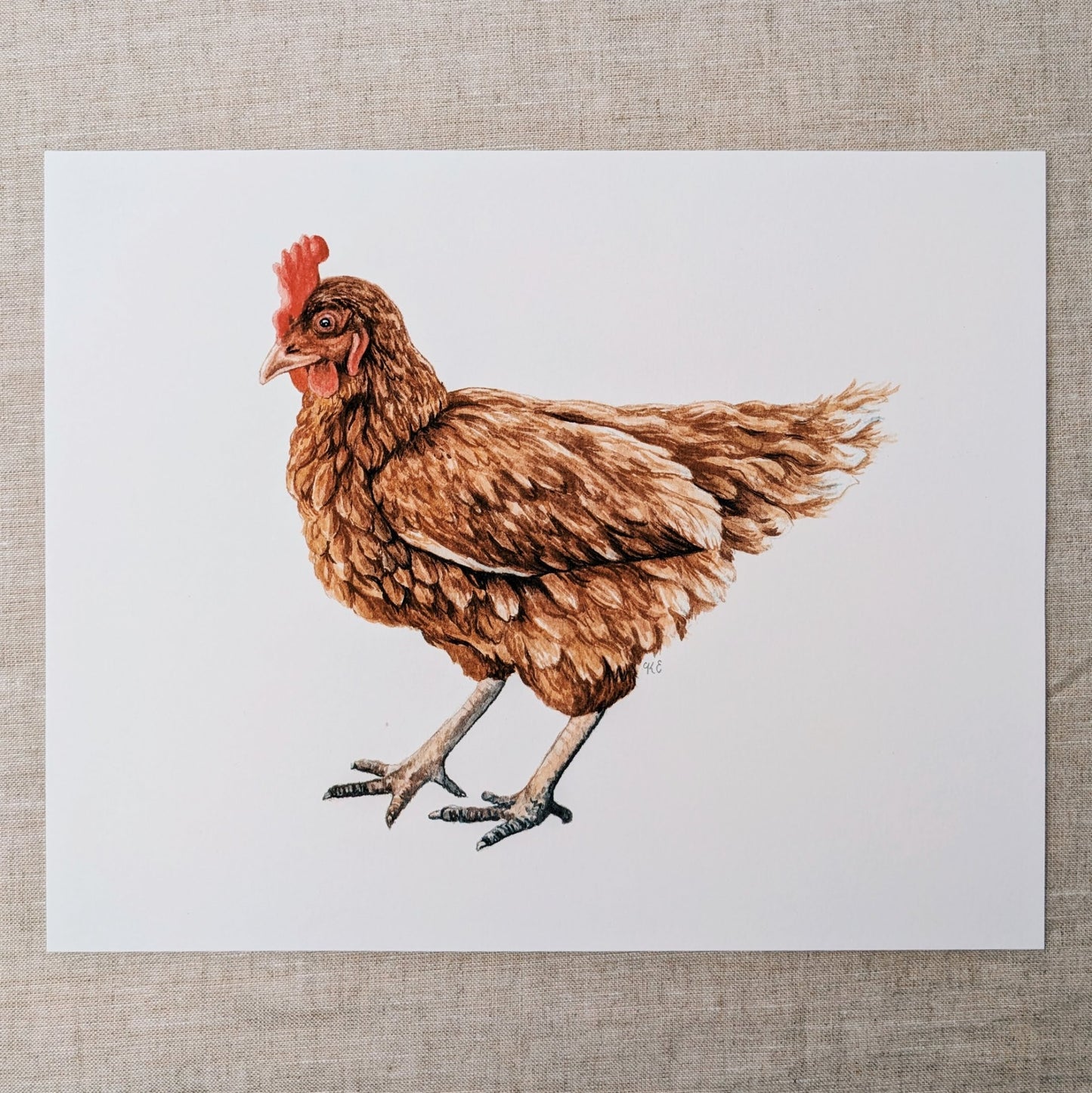 Chicken - Fine Art Print - Kim Everhard Art