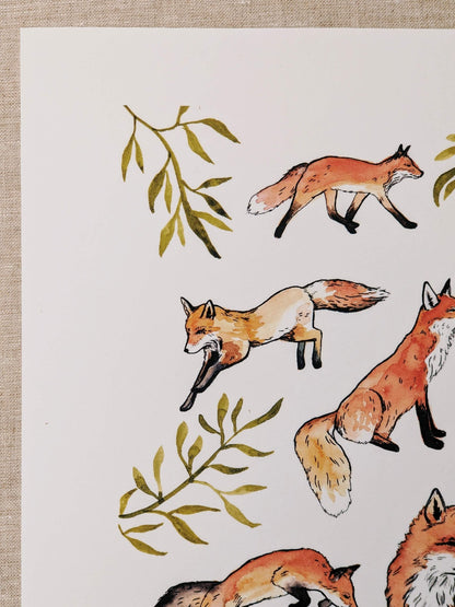Fox Study - Fine Art Print - Kim Everhard Art
