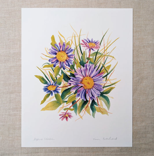 Alpine Daisies - Fine Art Print - Kim Everhard Art