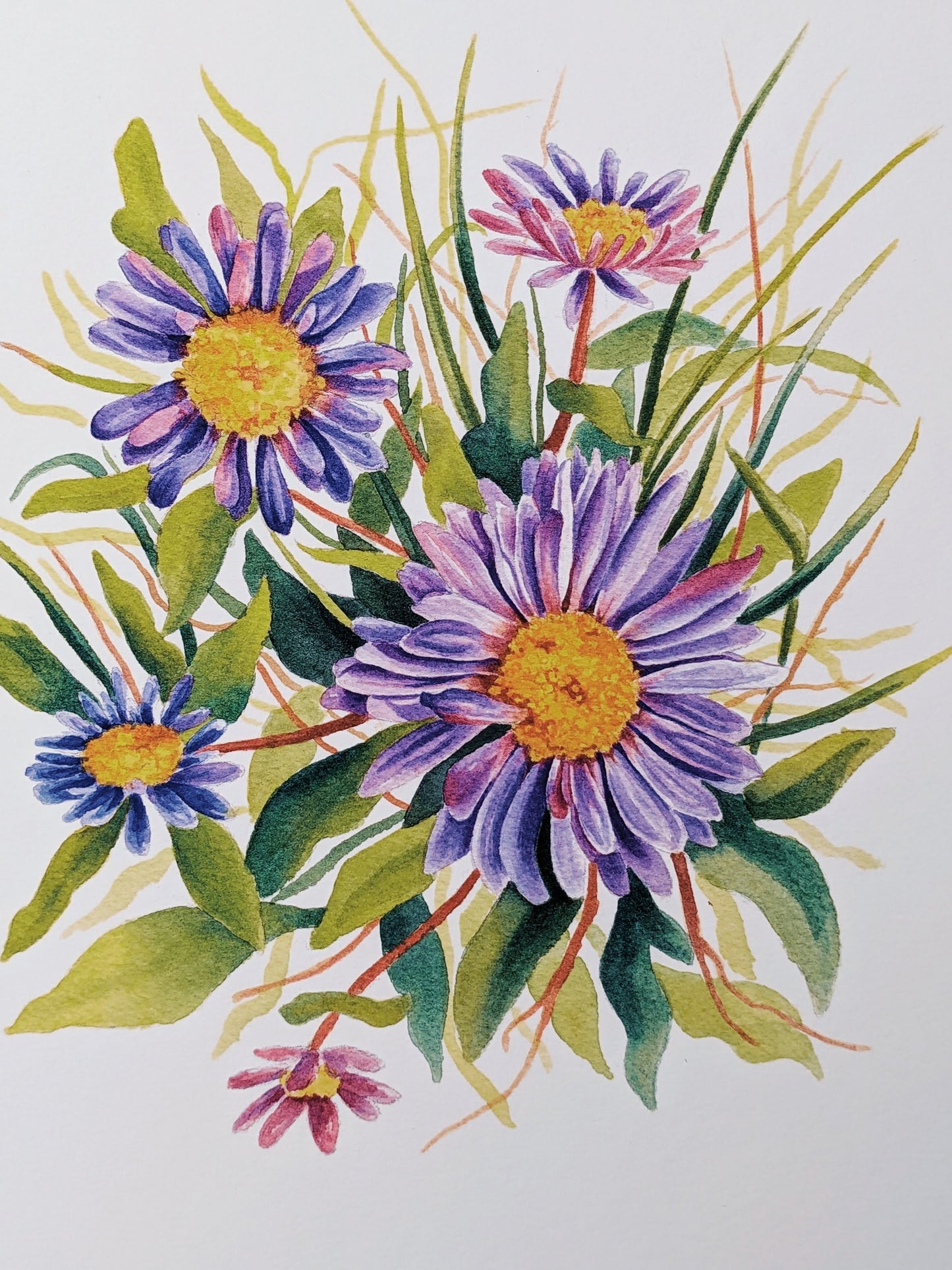 Alpine Daisies - Fine Art Print - Kim Everhard Art