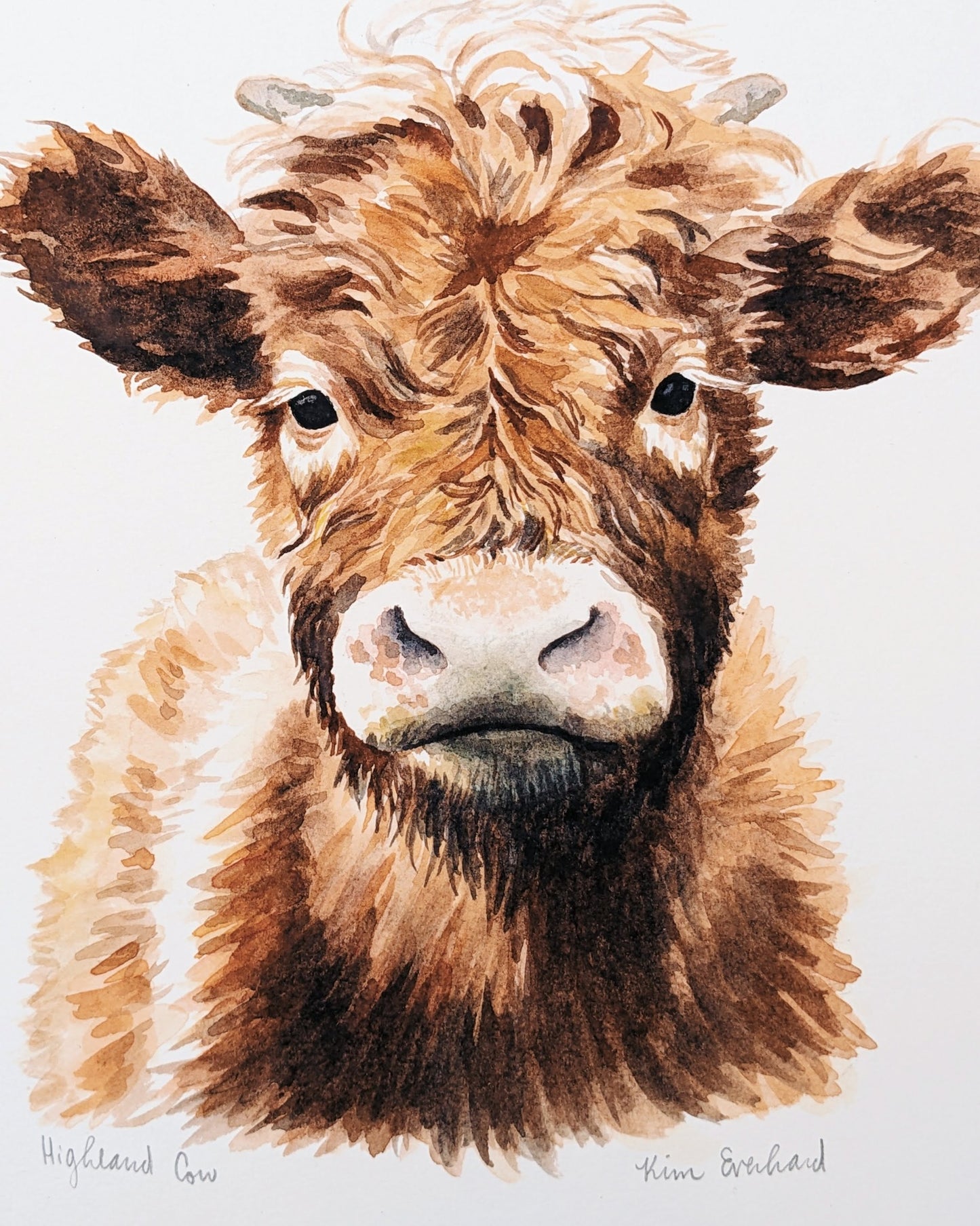 Highland Cow - Fine Art Print - Kim Everhard Art